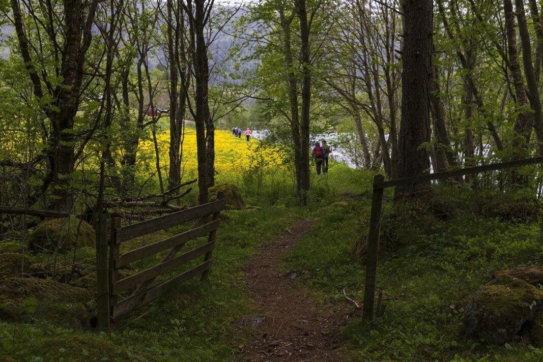 Gjennom skog og over eker. Gjennom skog og over eker.