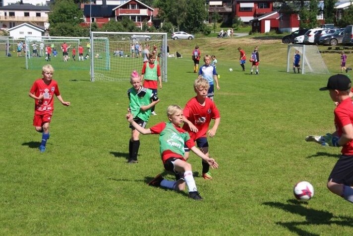 Fra Småtrolluka 2019. Fra Småtrolluka 2019.