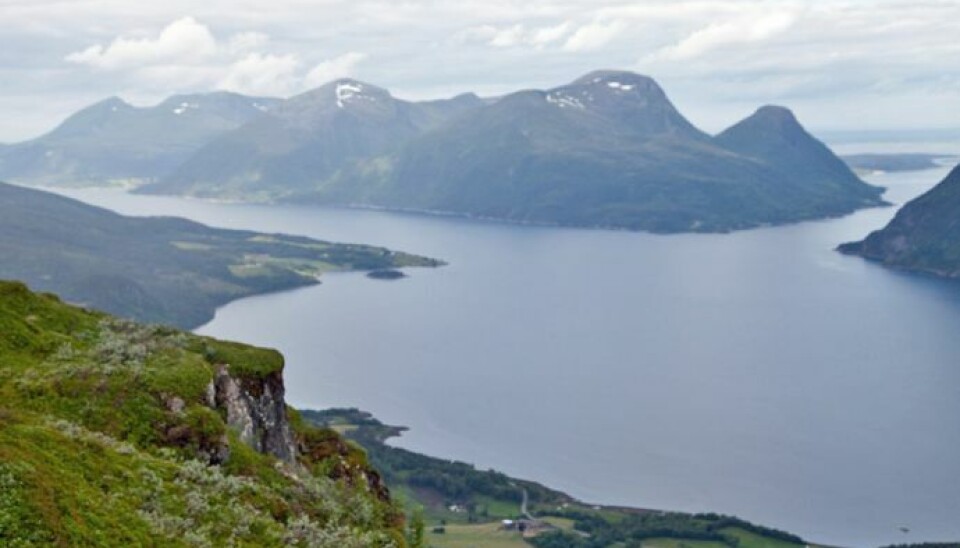 Bli med Fjellgruppa til Hennafjellet!