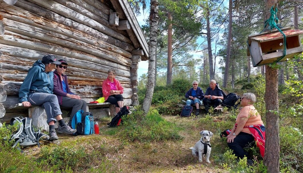 Her er det mat for alle. Her er det mat for alle.