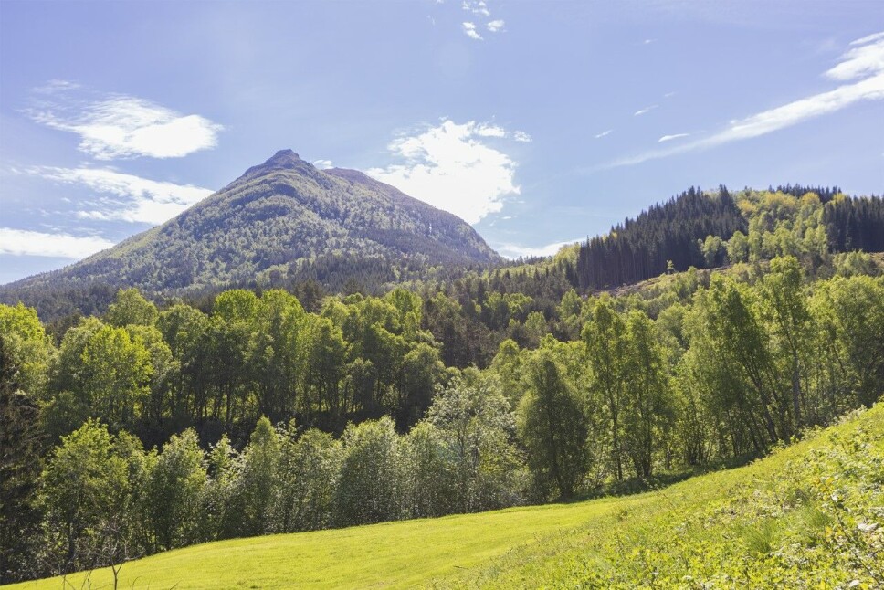 Målet er Hennafjellet.