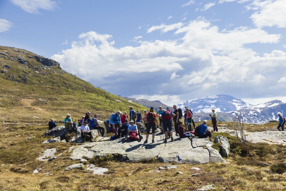 Liten kvil på nedturen.