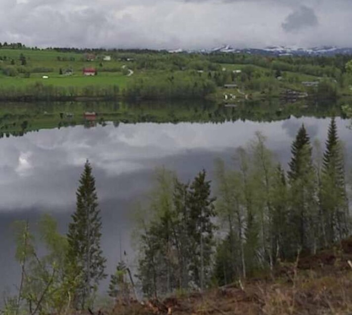 Grønlivatnet med Grønlifeltet i bakgrunnen. Grønlivatnet med Grønlifeltet i bakgrunnen.