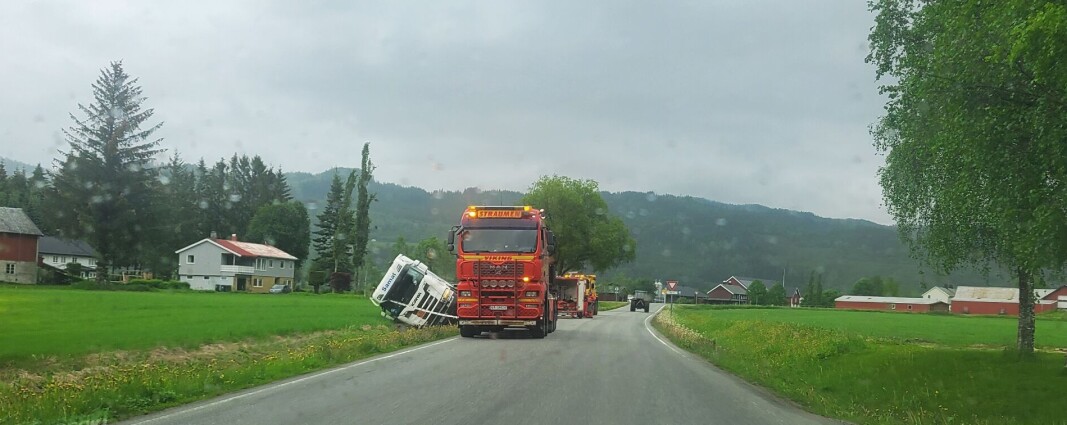 Fra bilberginga fredag ettermiddag. Fra bilberginga fredag ettermiddag.