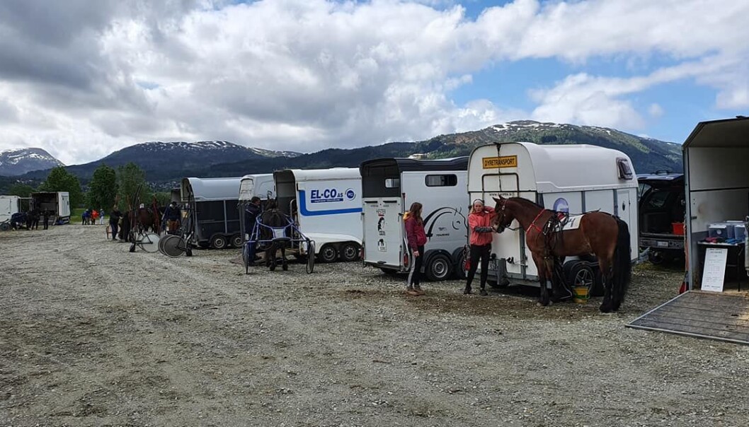 Masse hester og folk, og herlig stemning🌞🐎 Takk for besøket! Masse hester og folk, og herlig stemning🌞🐎 Takk for besøket!