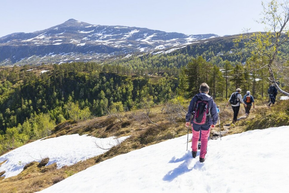 Mot Midtsetra.
