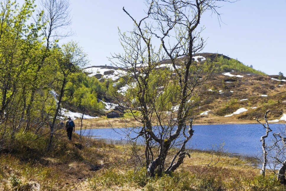 Langs Ranessetervatnet til Ranessetra.