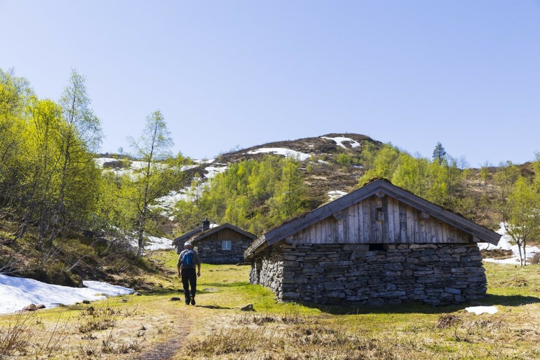 Ranessetra med 16m langt kufjøs, seterskjel og saufjøs. Ranessetra med 16m langt kufjøs, seterskjel og saufjøs.