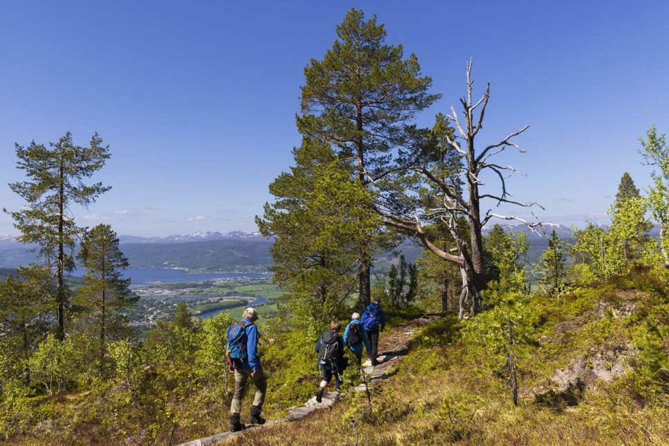 Ein overlag fin Trekanttur er snart forbi.