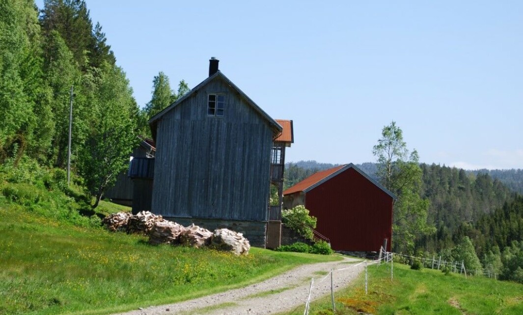 Fra den andre gården som brant ned i 1918. Fra den andre gården som brant ned i 1918.
