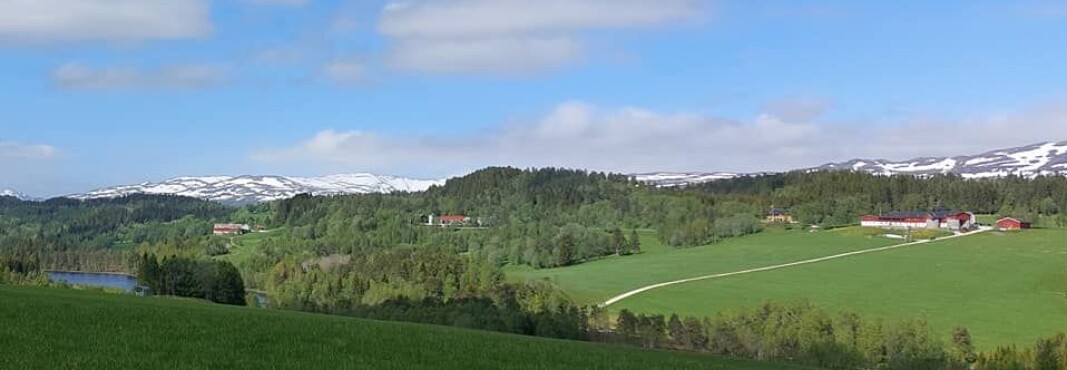 Gåsvatn-garder. Gåsvatn-garder.