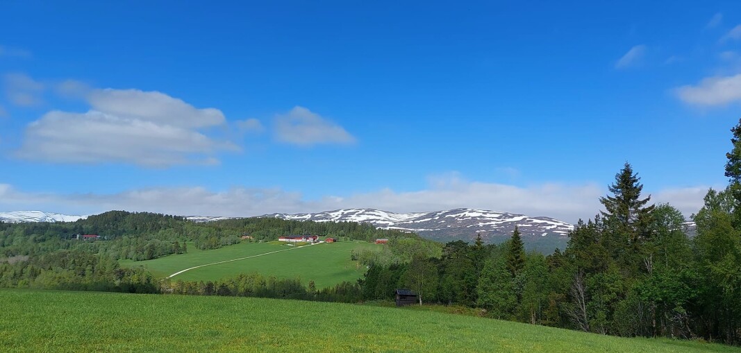 Gåsvatn. Gåsvatn.