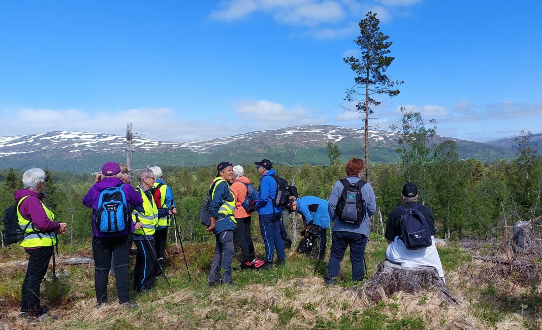 Orientering og beundring av utsikt. Orientering og beundring av utsikt.