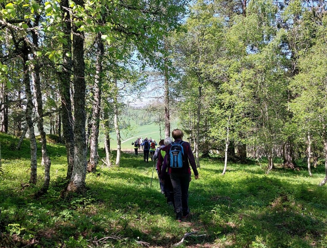 Lang rekke på tur heim. Lang rekke på tur heim.