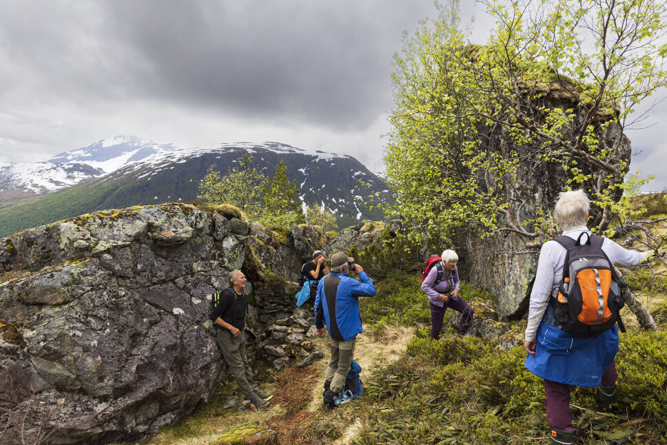 Gammal slåttebustad.