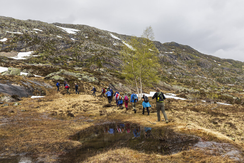Opp mot Skarfjellet.