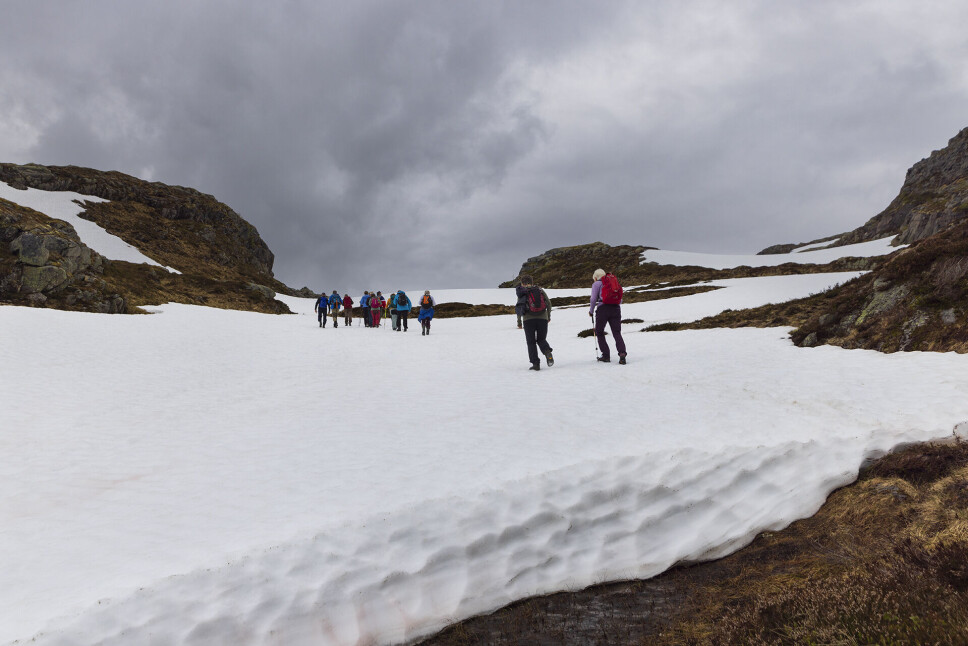 Over mange snøbrear.