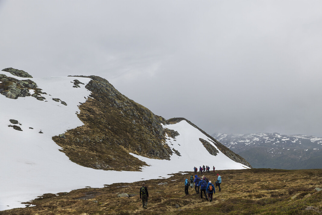 Snart på toppen. Snart på toppen.