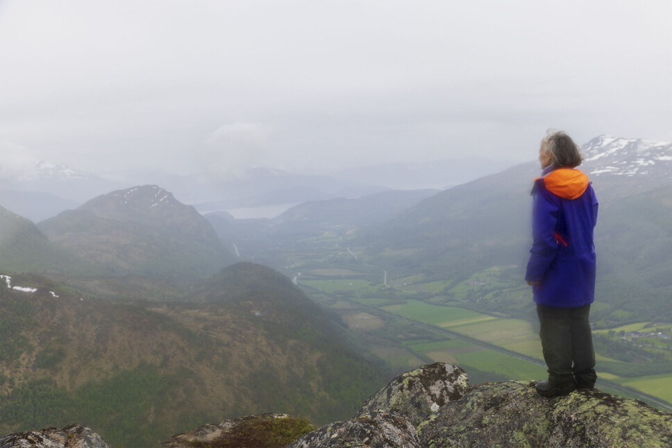 Utsikt til Kvenna og Stangvikfjorden.