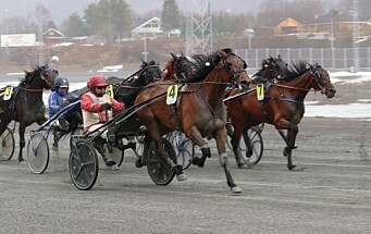 Ny travdag på Varig Orkla Arena sist fredag kveld-flere lokale hester stilte til start