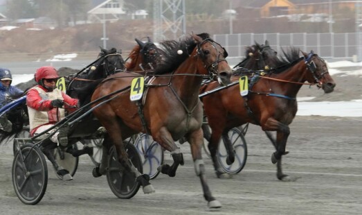 Ny travdag på Varig Orkla Arena sist fredag kveld-flere lokale hester stilte til start