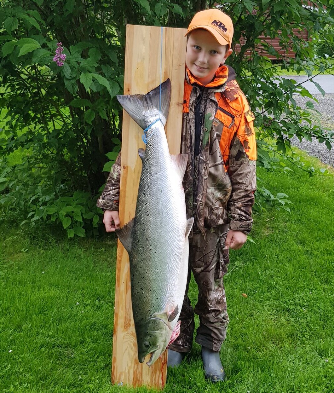 Ola Stortiset tok årets tredje største laks så langt i år i Surna, på Rindal vald 2. Ola Stortiset tok årets tredje største laks så langt i år i Surna, på Rindal vald 2.
