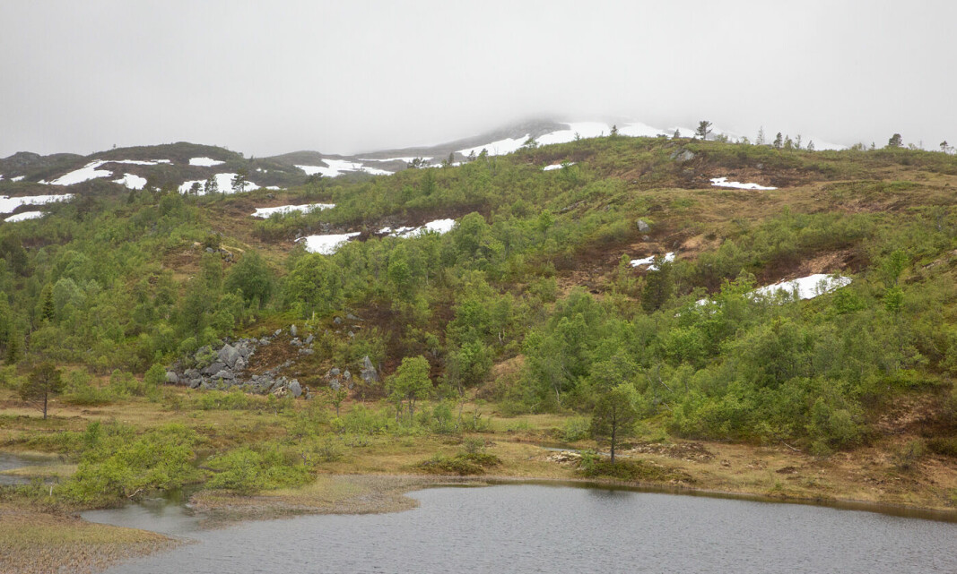 Det ble en gråværsdag med skodde på toppene. Bildet er tatt fra Setertjønna i retning Skåkleiva.