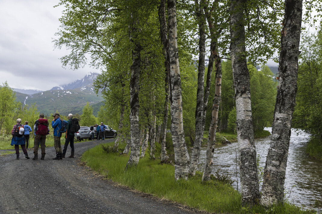 Startar vandringa frå Stormyra inni Vindøldalen. Startar vandringa frå Stormyra inni Vindøldalen.