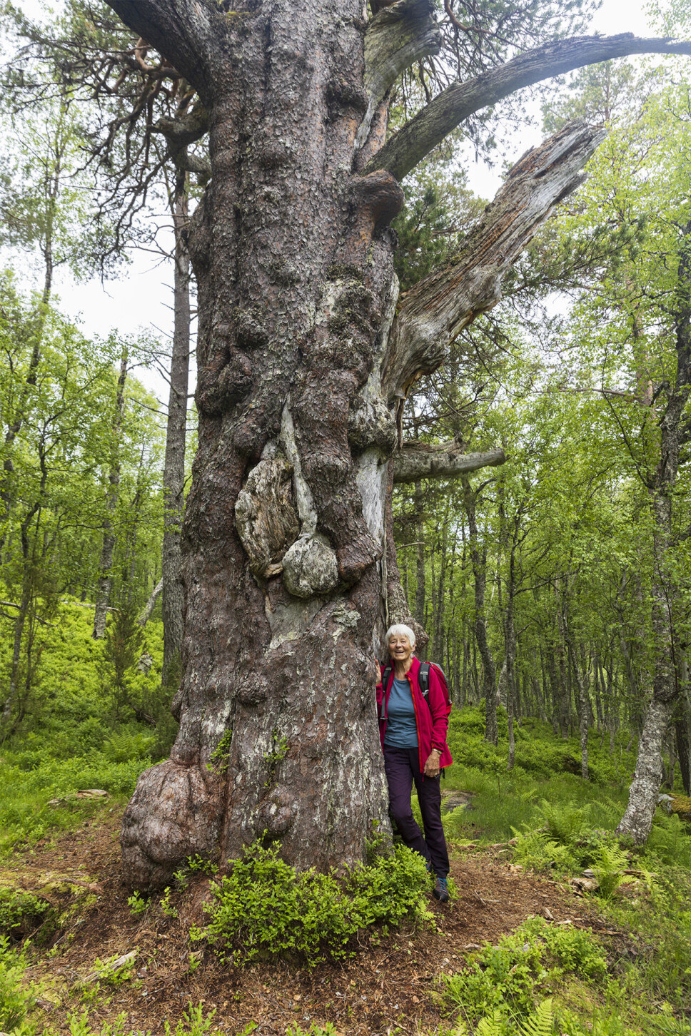 Alle vert små attmed Breiskarstolla.