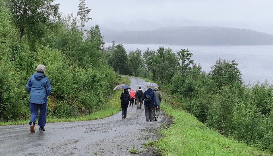 Stavgangtur rundt Betnaneset