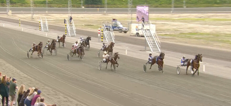 Siste nytt fra travbanen