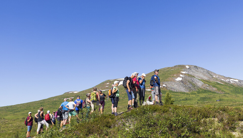 Opp frå Øygarden