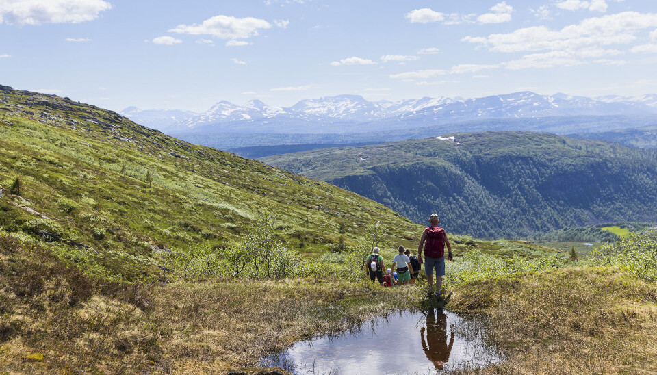 Nedturen går lett