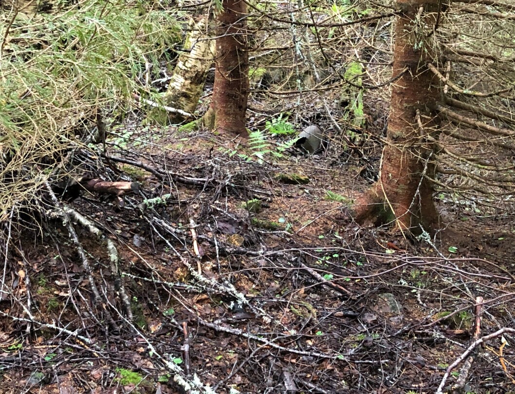 Her låg Langmyrhaugen. Her låg Langmyrhaugen.