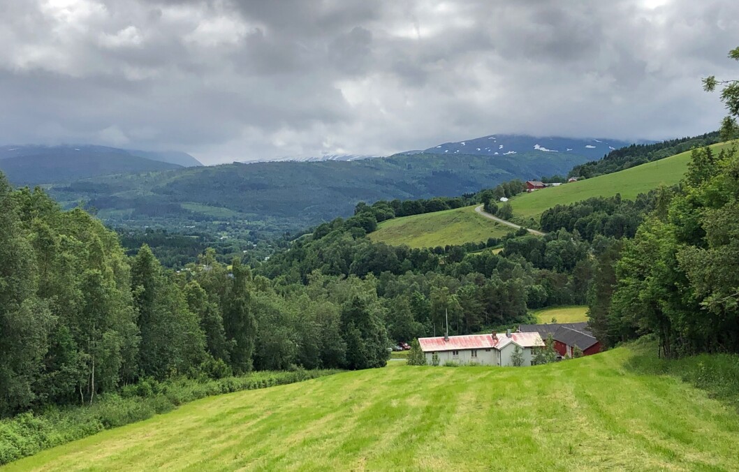 Samling ovafor Brubakken med utsikt mot Bjørnås. Samling ovafor Brubakken med utsikt mot Bjørnås.