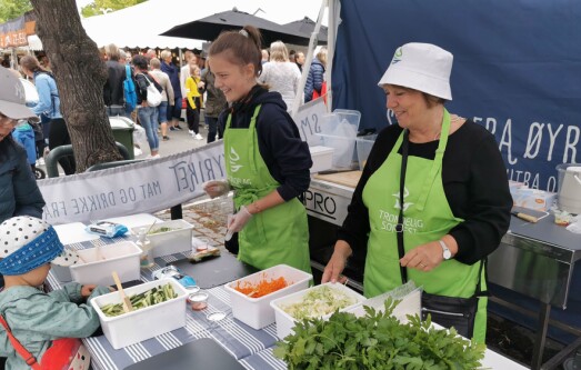 Lakse­regionen med barne­aktiviteter på Trøndersk Matfestival