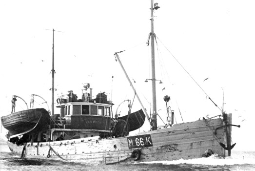 Kristiansunds-snurparen «Skrøyfa» på storsildfeltet. Båten var bygd i Bøfjorden - like ved sjøbruksmuseet.