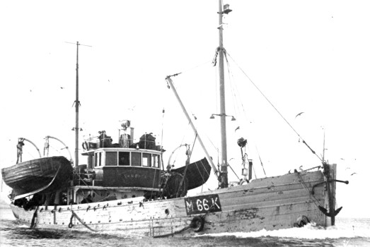 Kristiansunds-snurparen «Skrøyfa» på storsildfeltet. Båten var bygd i Bøfjorden - like ved sjøbruksmuseet. Kristiansunds-snurparen «Skrøyfa» på storsildfeltet. Båten var bygd i Bøfjorden - like ved sjøbruksmuseet.