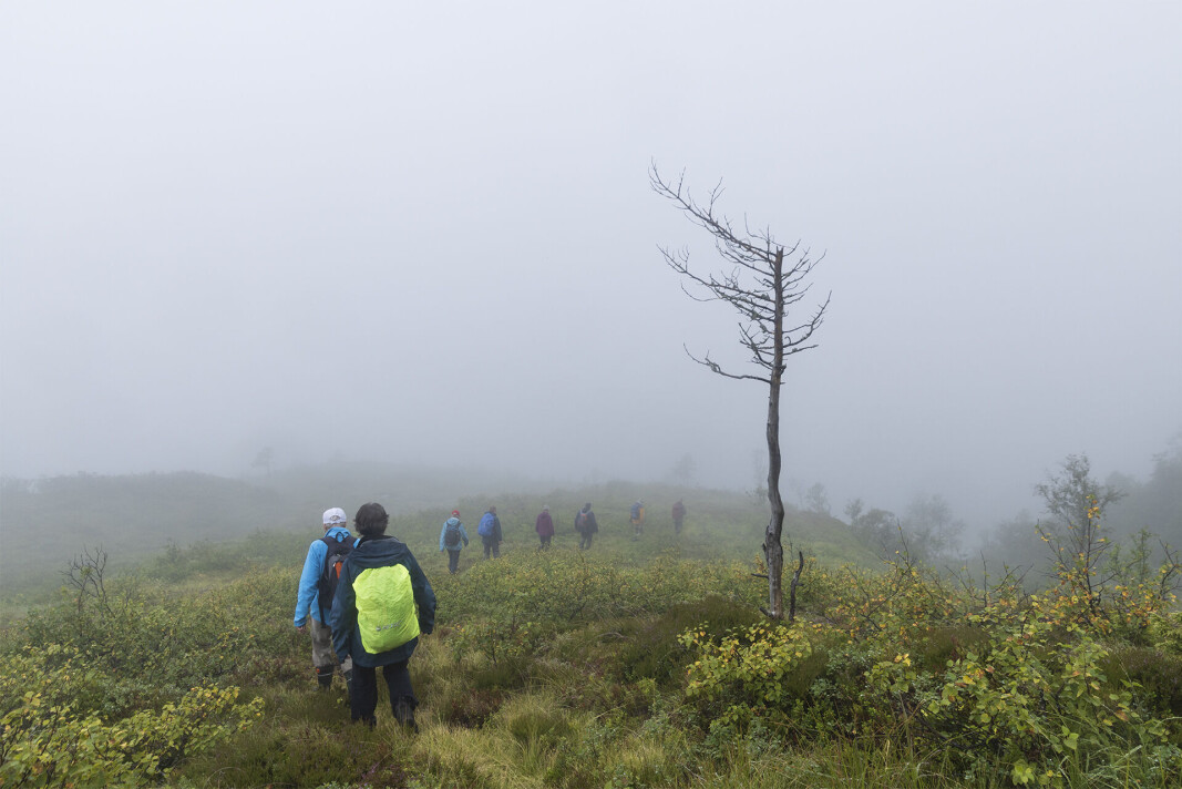 På heimtur i skoddehavet. På heimtur i skoddehavet.