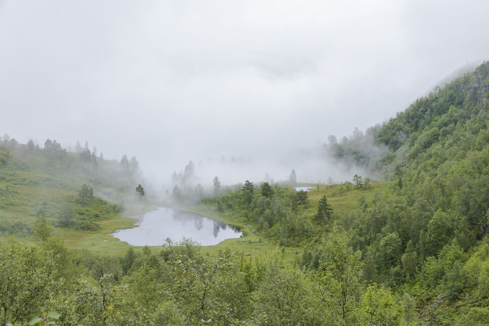 Skodda lettar frå Ranessetervatnet.