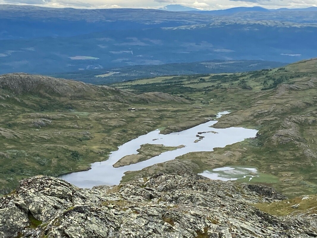 Fint terreng rundt Hævertjønna. Fint terreng rundt Hævertjønna.