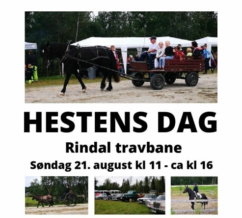 Hestens dag i Rindal søndag 21. august