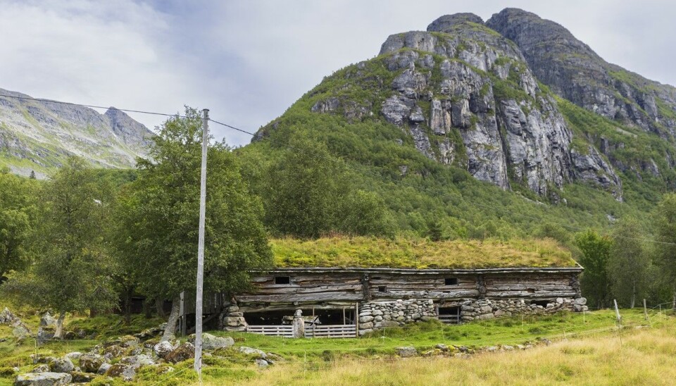 Gammalt, solbrent og verbit fjøs