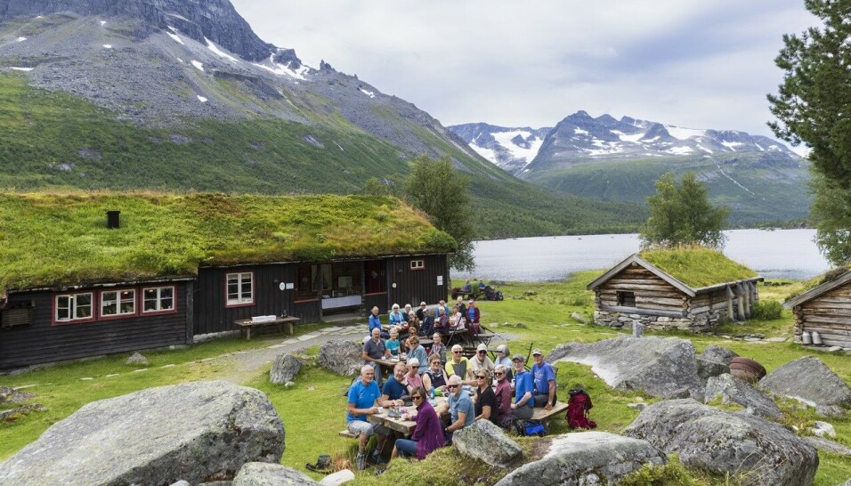 Smakfulle bakels med seterrømme og solbærsyltetøy