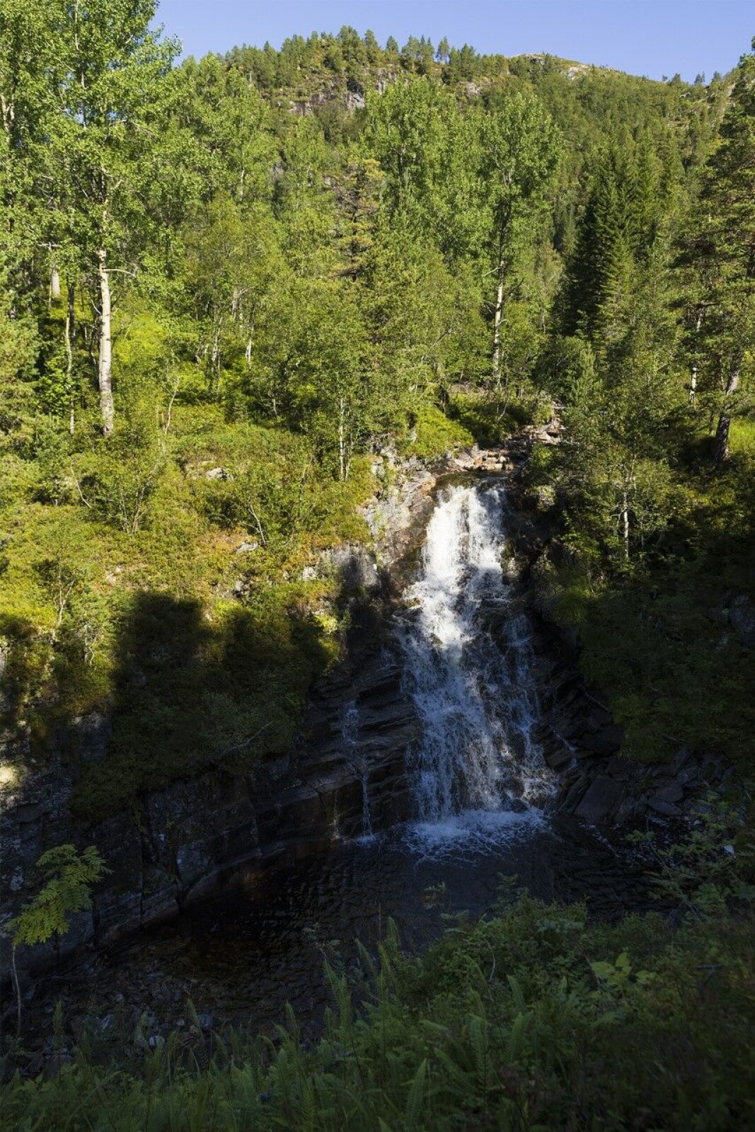 Bratt sti frå Saga langs Bjøråa Bratt sti frå Saga langs Bjøråa