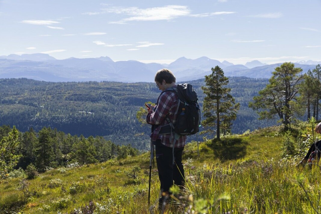 Utsikt til Langurda, Nordmarka og Trollheimen Utsikt til Langurda, Nordmarka og Trollheimen