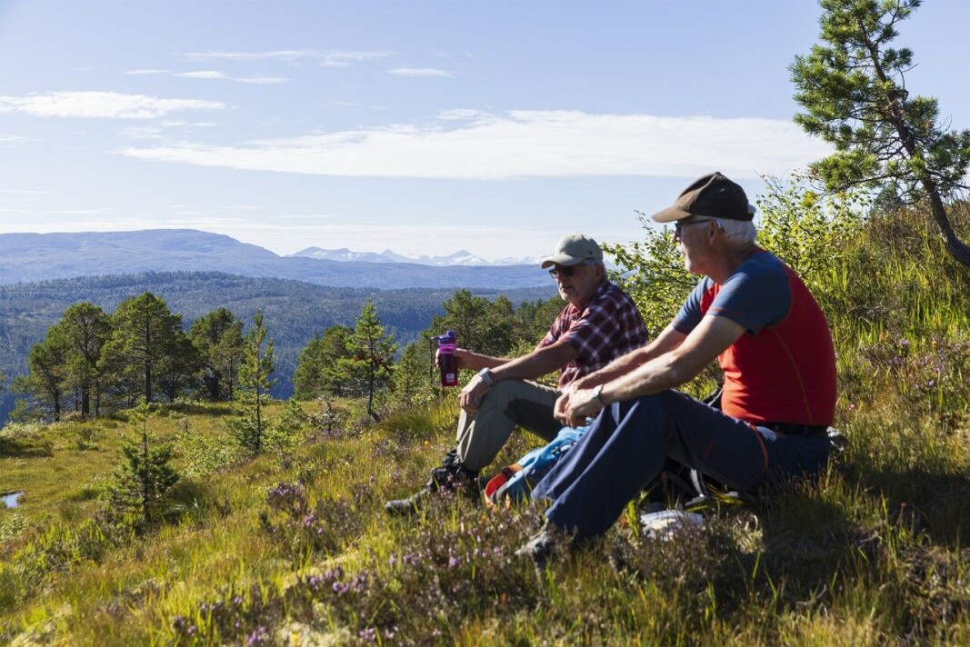 Utsikt til fjella mot vest Utsikt til fjella mot vest
