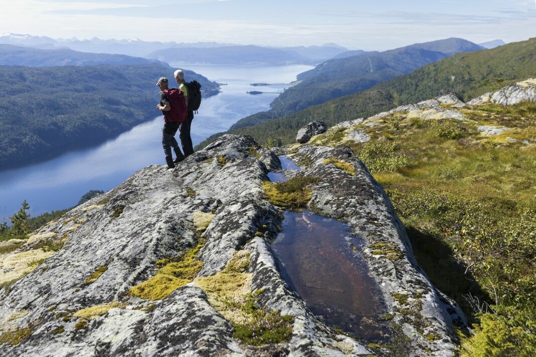 Utsikt over fjord og fjell