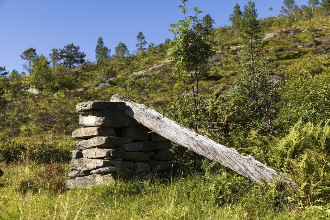 Tuft etter gammalt seterfjøs Tuft etter gammalt seterfjøs