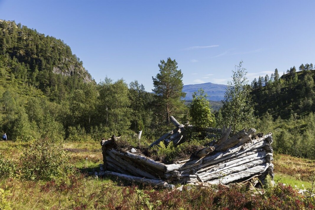 Sølvgrå, gammal høyløe Sølvgrå, gammal høyløe